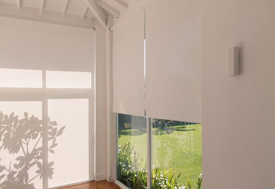 Roller Blinds